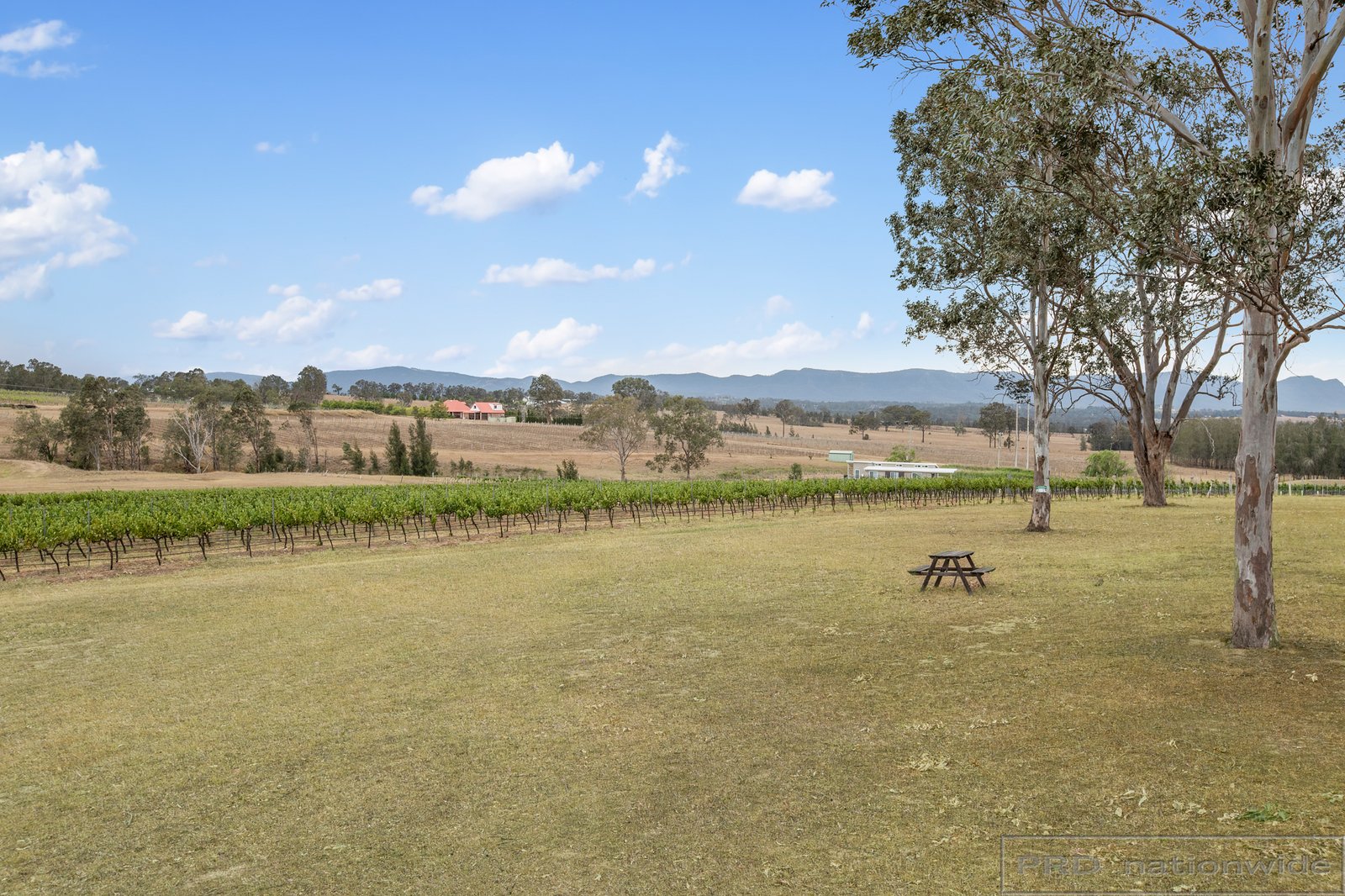 169 Talga Road LOVEDALE 24
