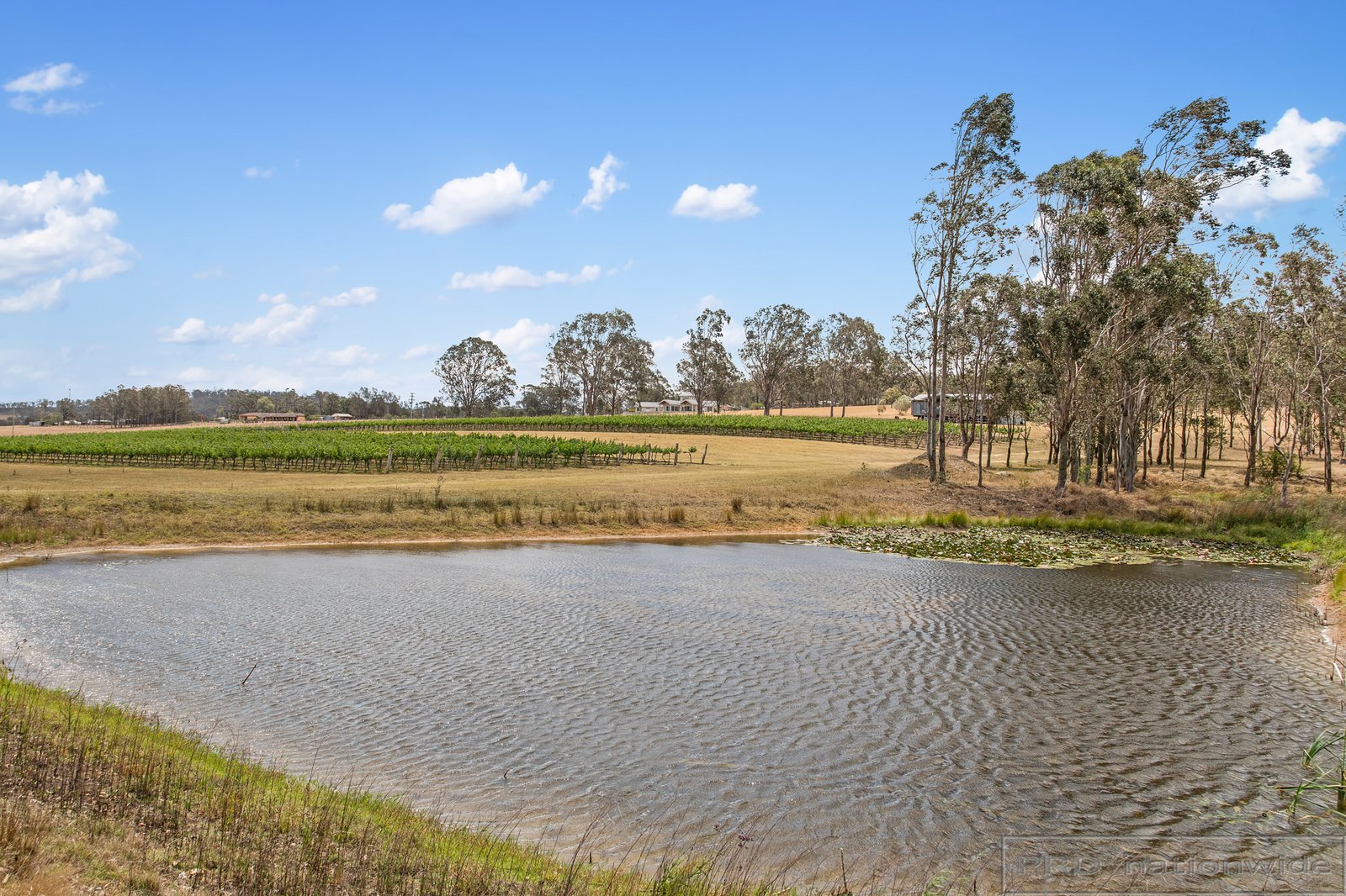 169 Talga Road LOVEDALE 26