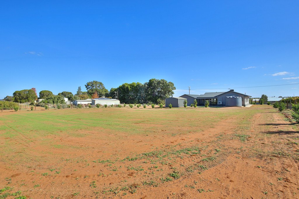 169 White Cliff Avenue MILDURA 13