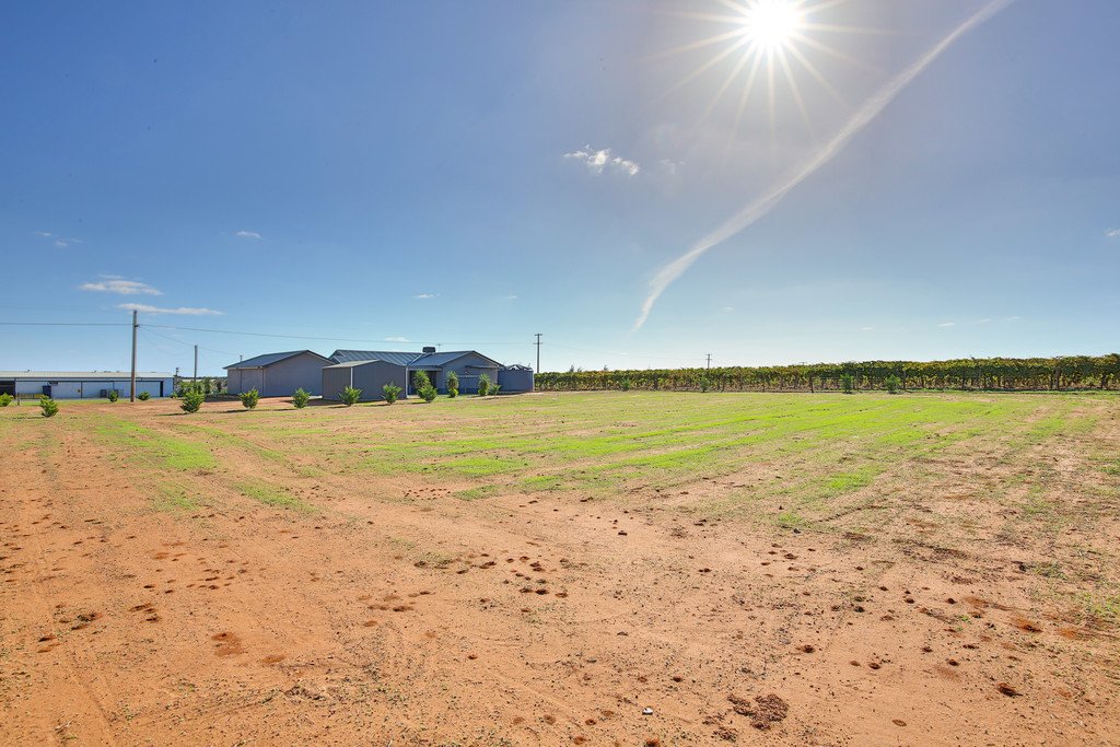 169 White Cliff Avenue MILDURA 14
