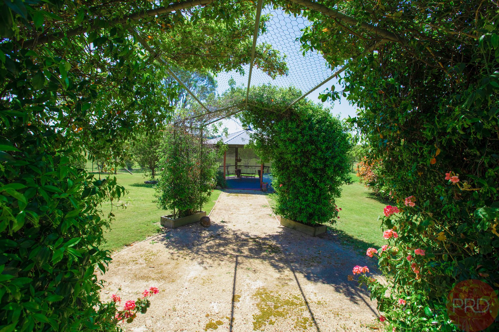 169 Winders Lane LOCHINVAR 14