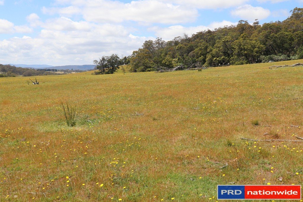 1695 Marked Tree Road GUNDAROO 1