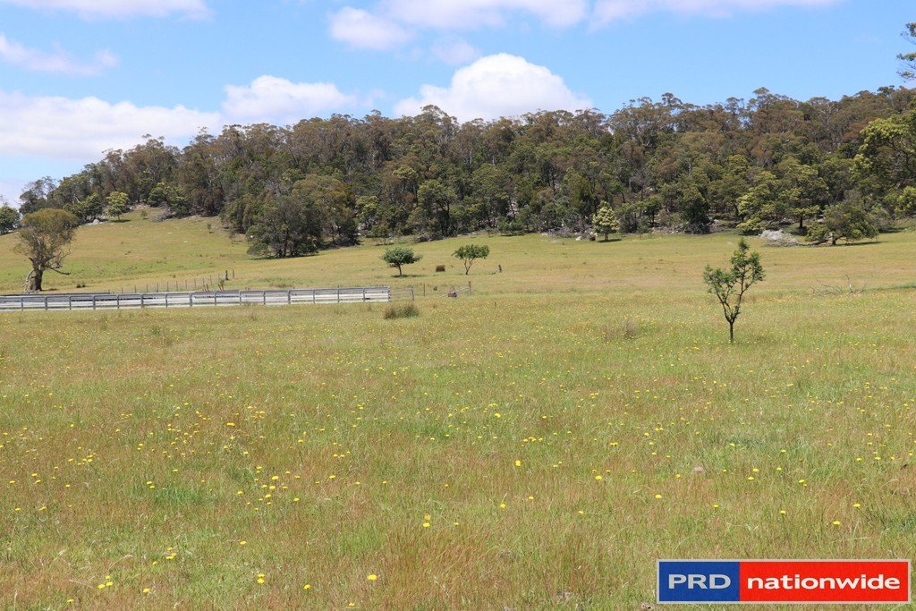1695 Marked Tree Road GUNDAROO 2