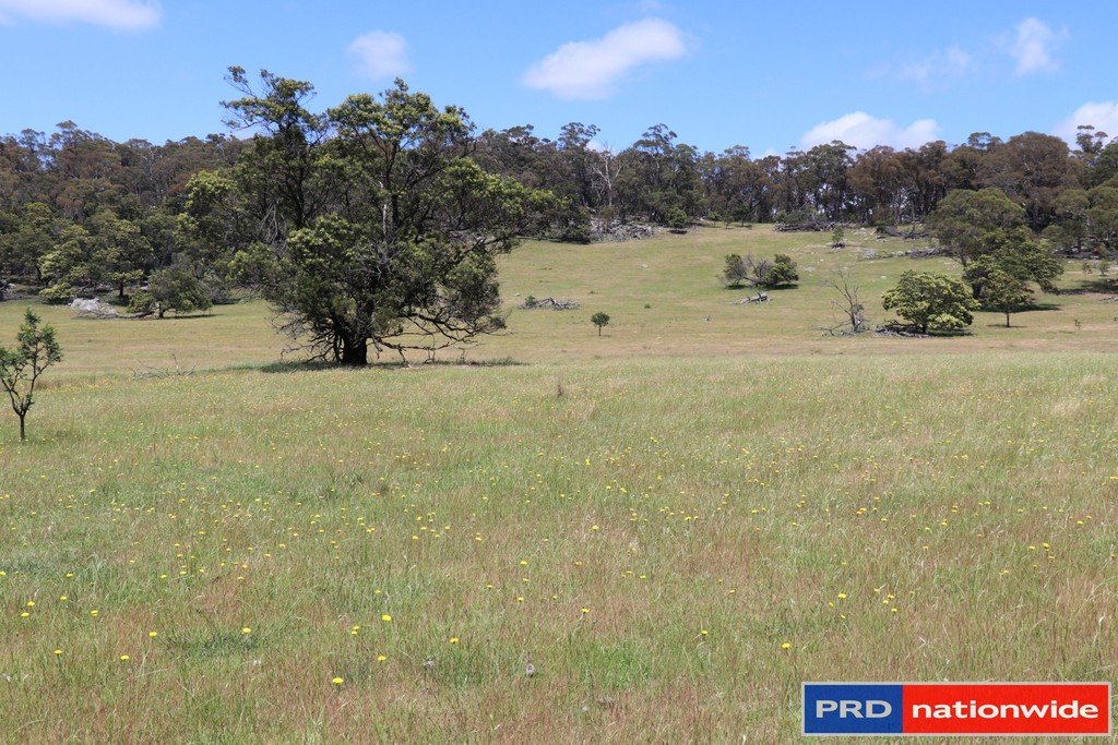1695 Marked Tree Road GUNDAROO 3