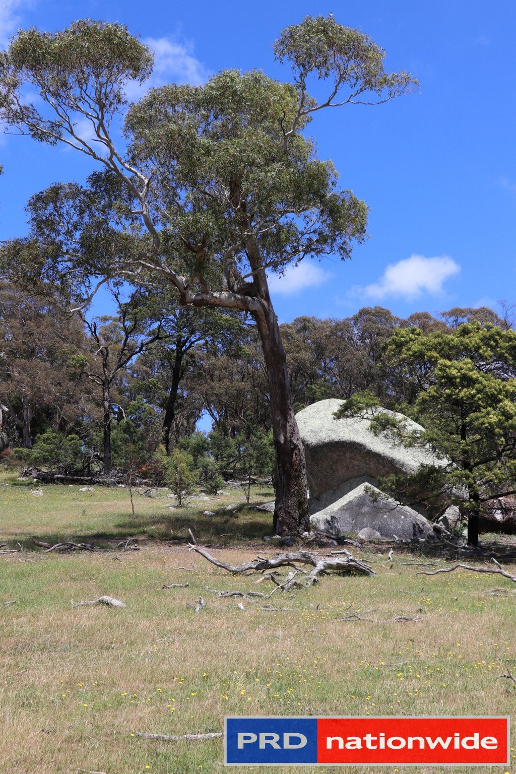 1695 Marked Tree Road GUNDAROO 5