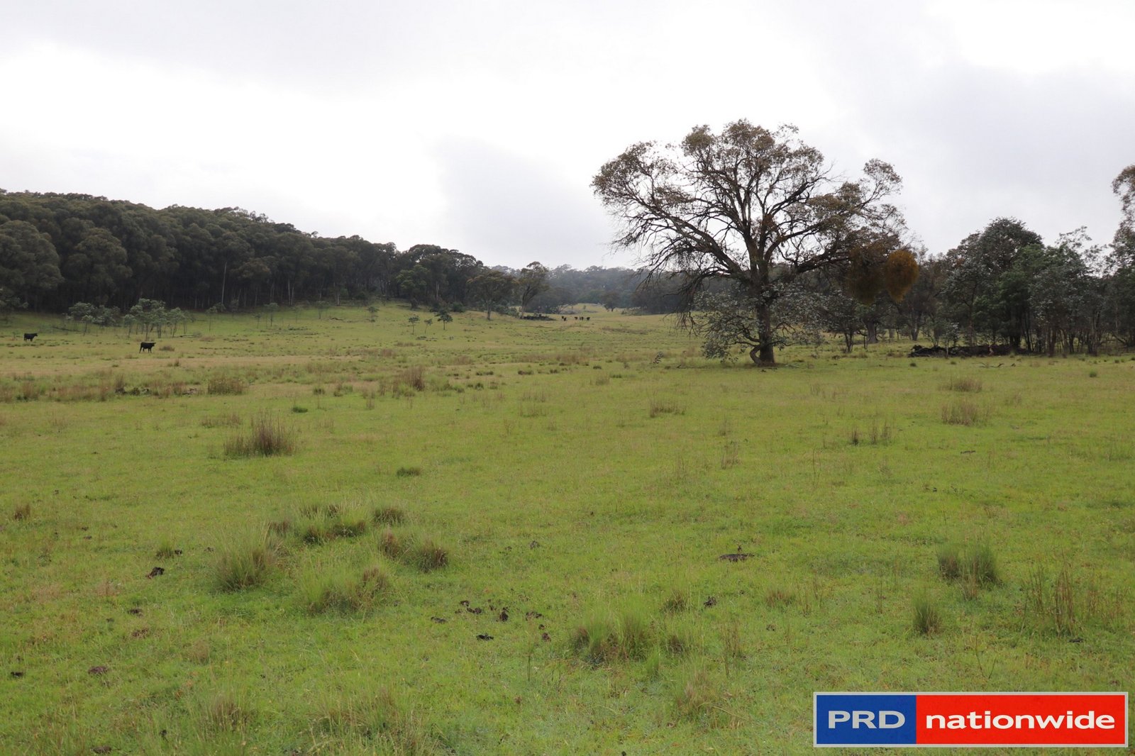 1695 Marked Tree Road GUNDAROO 8