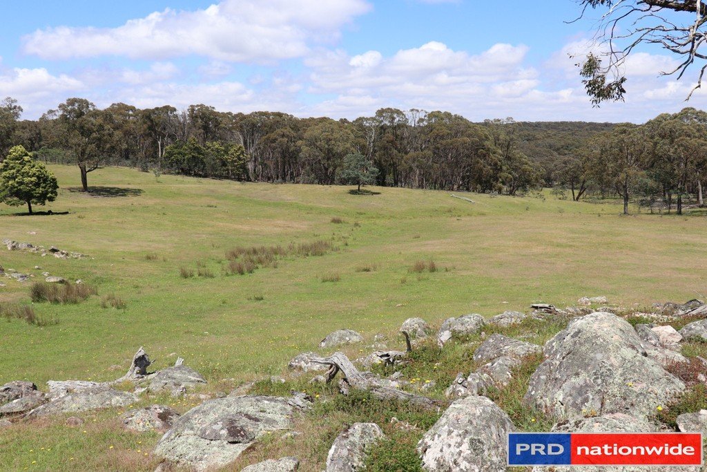 1695 Marked Tree Road GUNDAROO 9