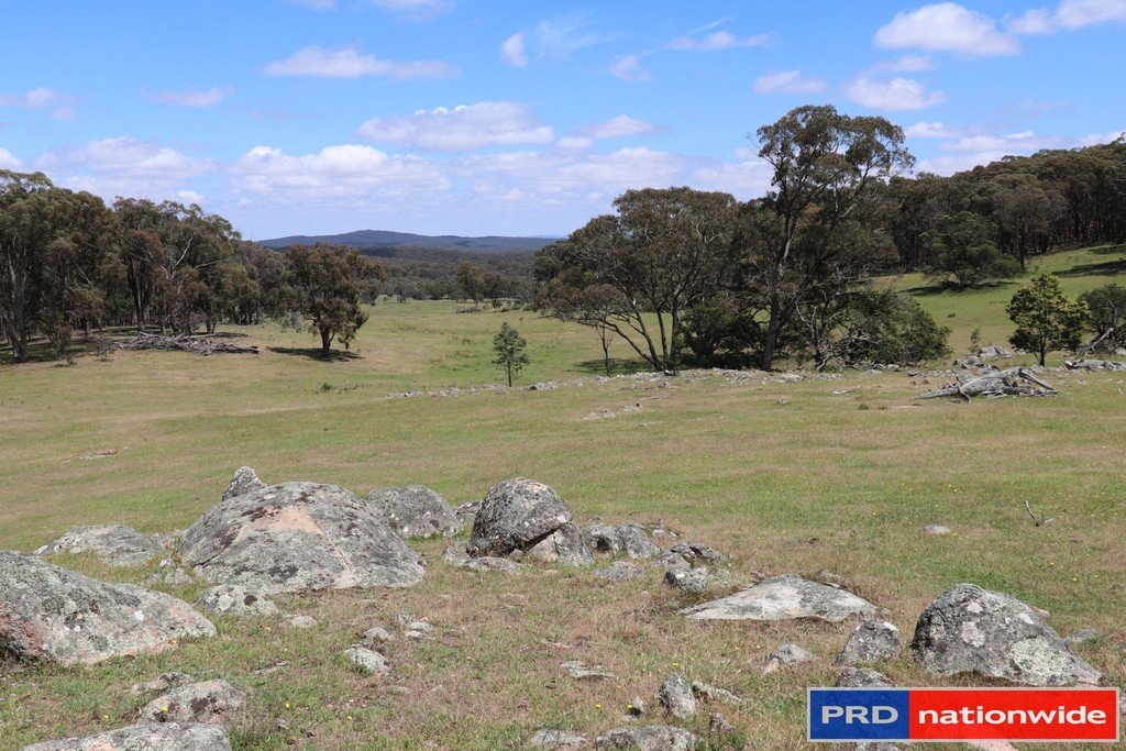 1695 Marked Tree Road GUNDAROO 10