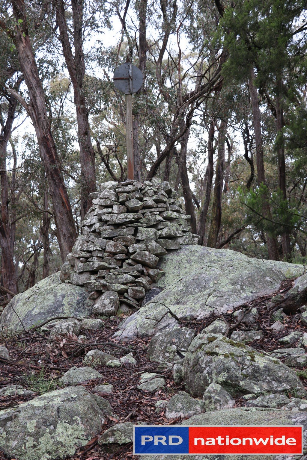 1695 Marked Tree Road GUNDAROO 11