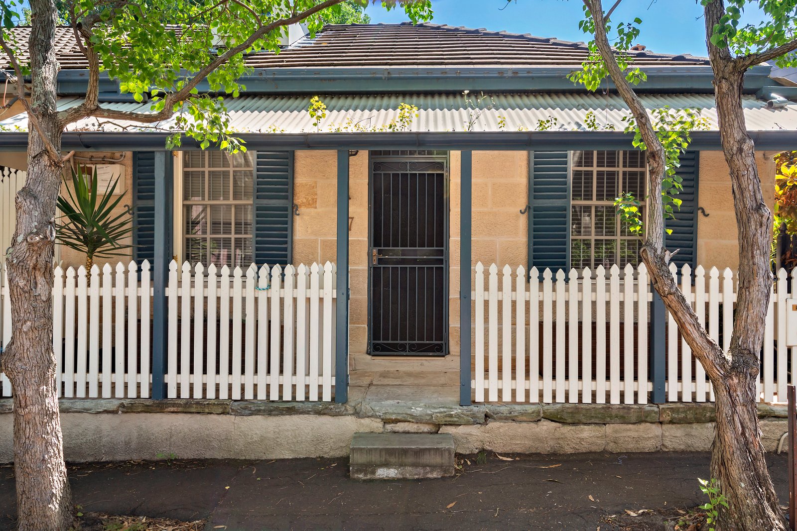 17 Adolphus Street, Balmain NSW 2041