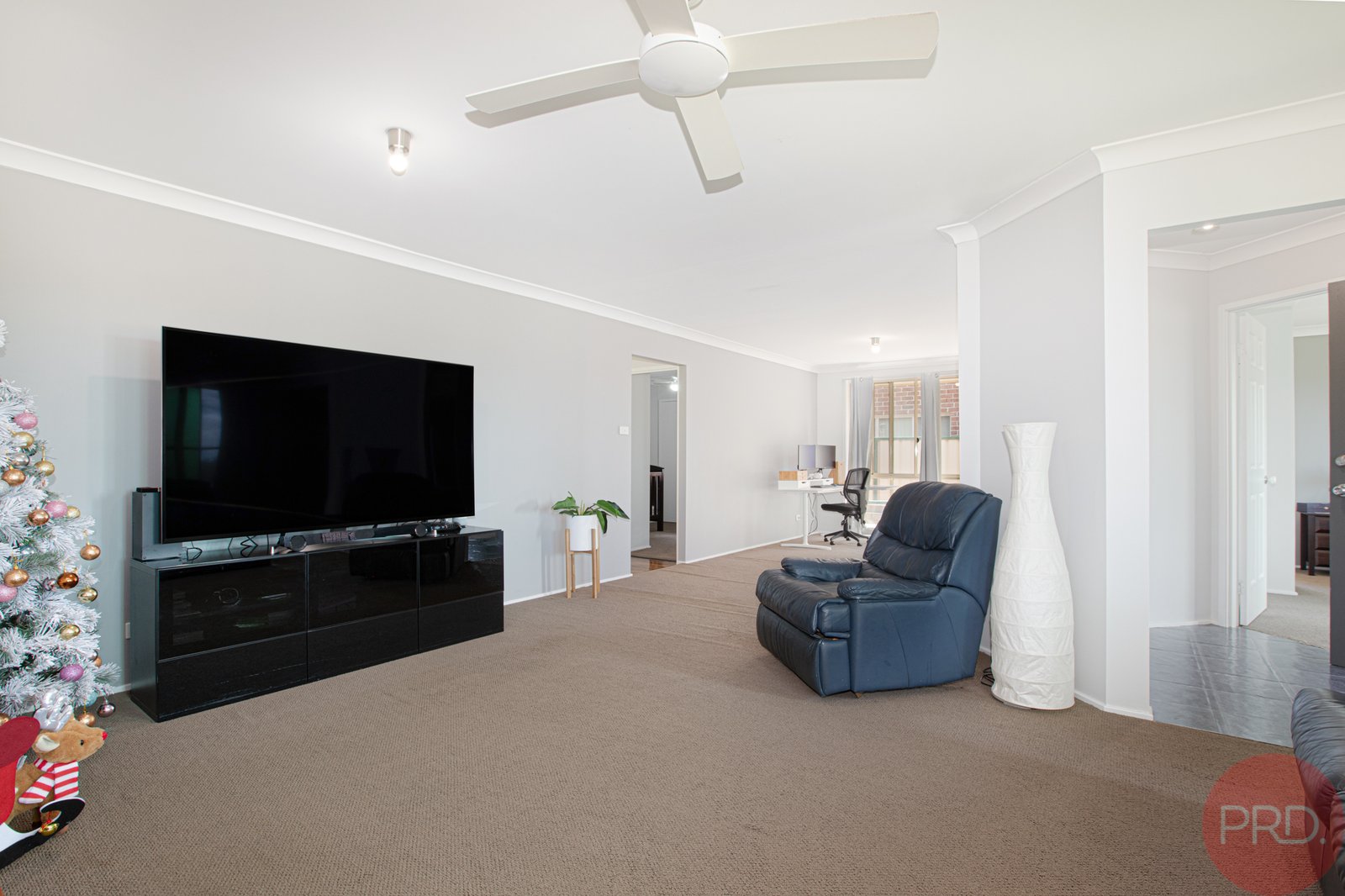 17 Airlie Street ASHTONFIELD 3