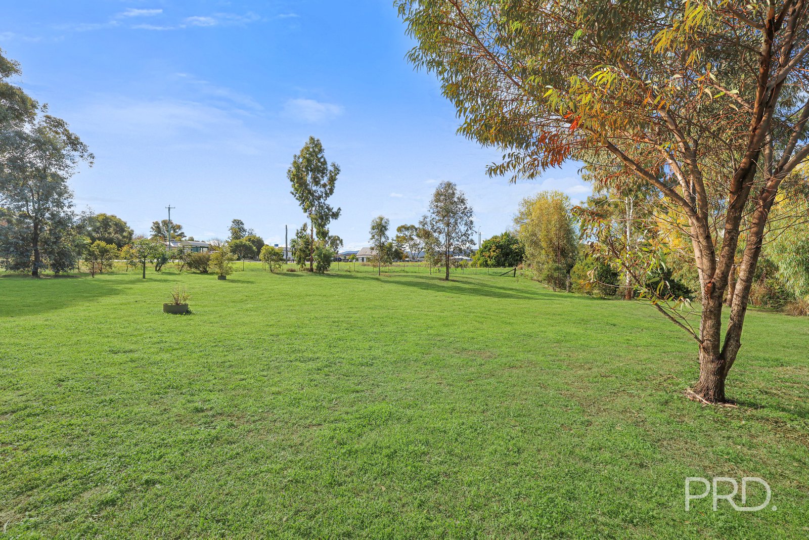 17 Allnutt Street QUIRINDI 12