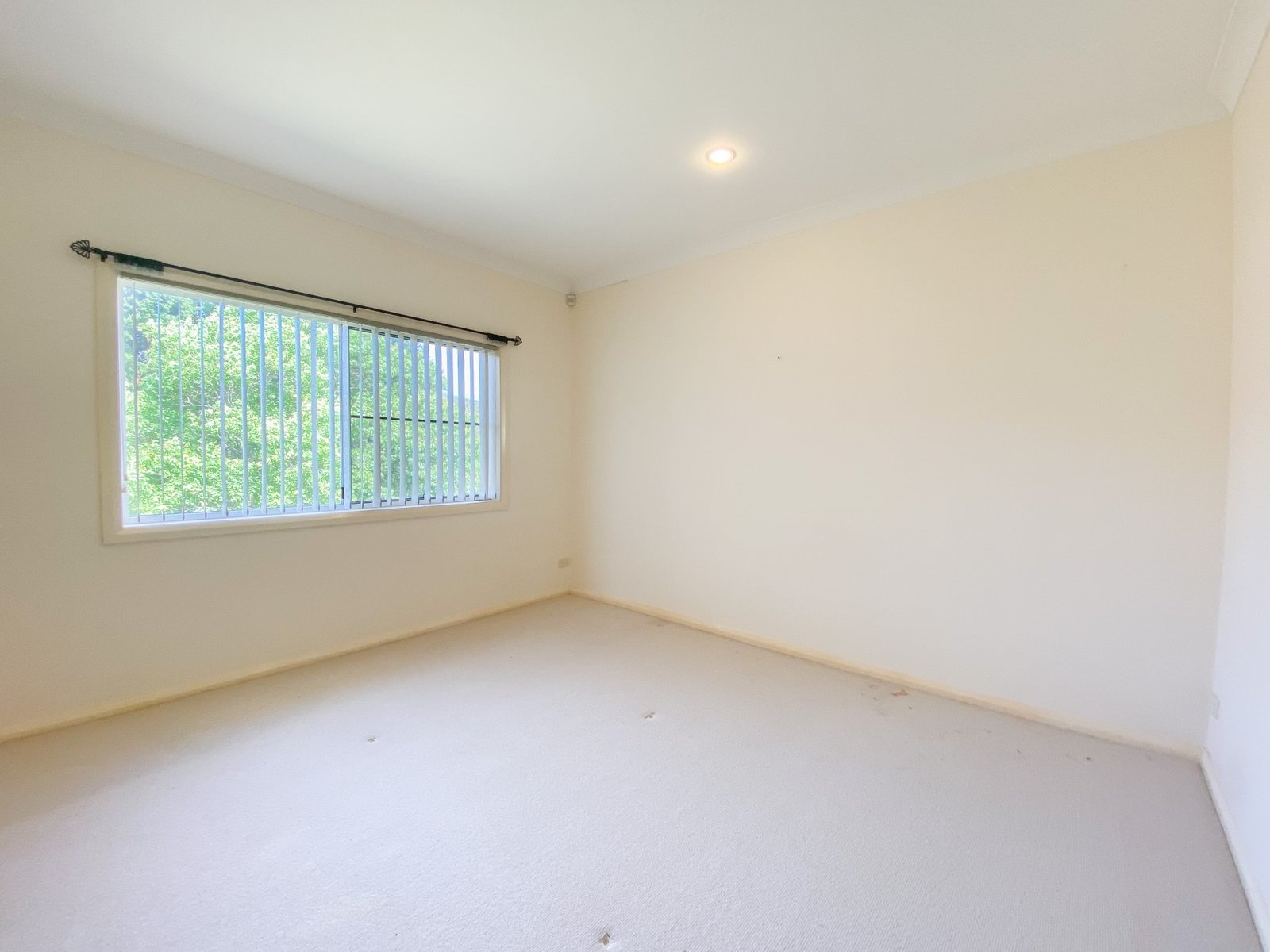 17 Amaroo Crescent FINGAL BAY 8