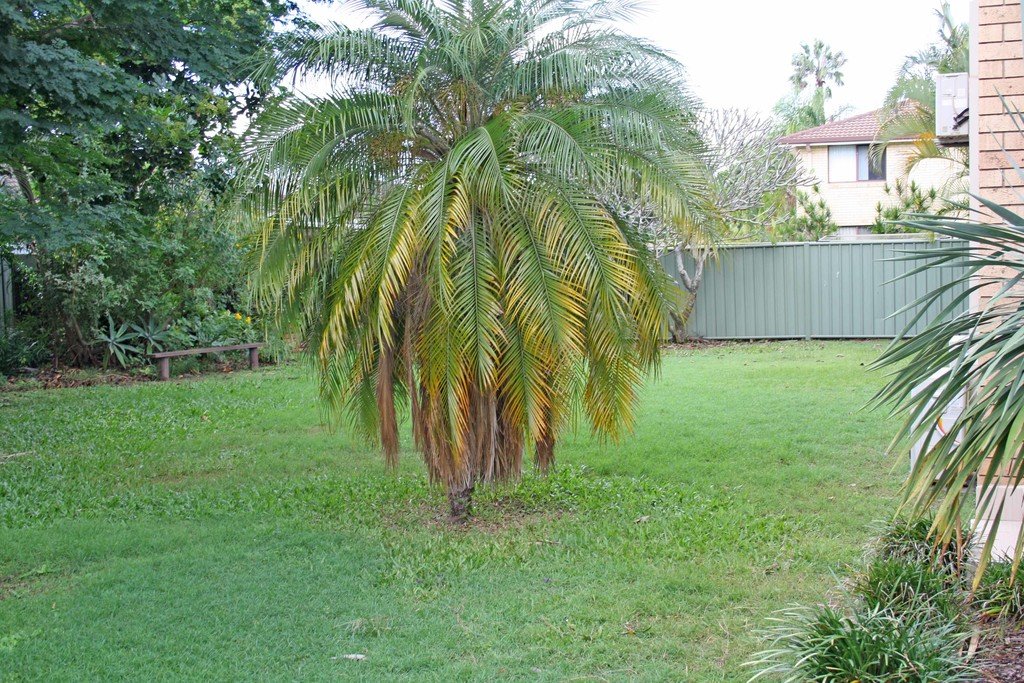 1/7 Aquila Court MERMAID WATERS 13