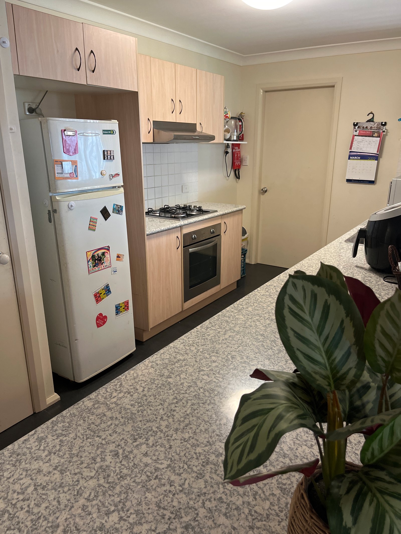 17 Banks Street TAMWORTH 4