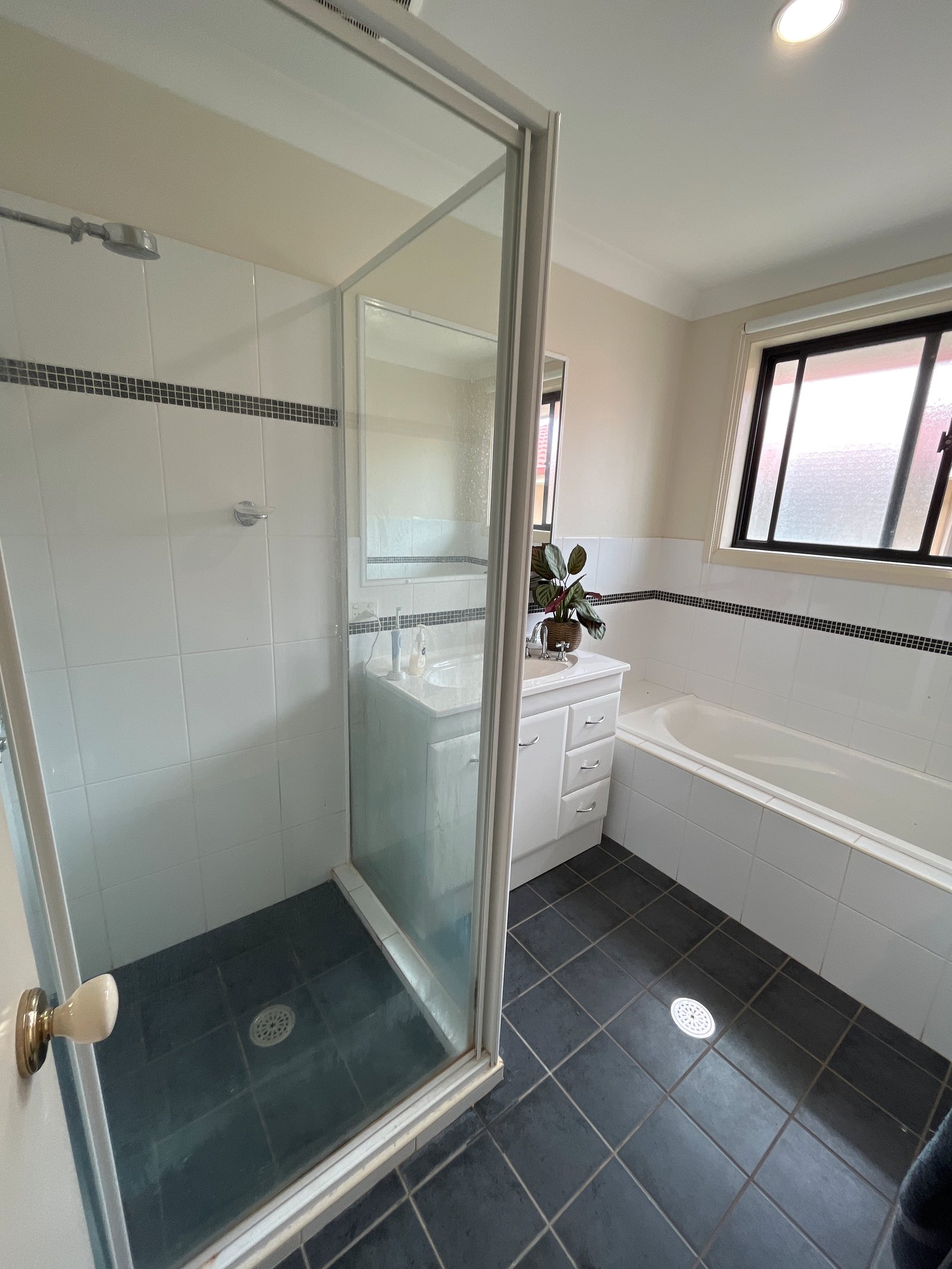 17 Banks Street TAMWORTH 12