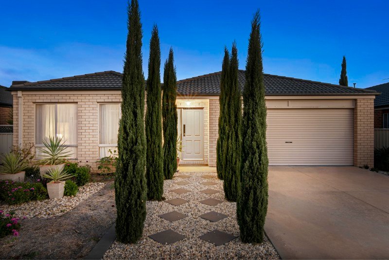 17 Blackwattle Avenue EPSOM 1