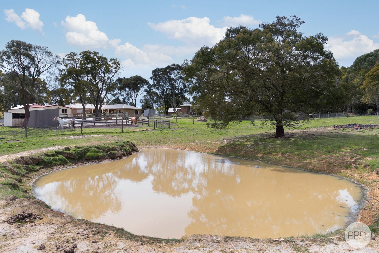 17 Blackwood Court ENFIELD 16