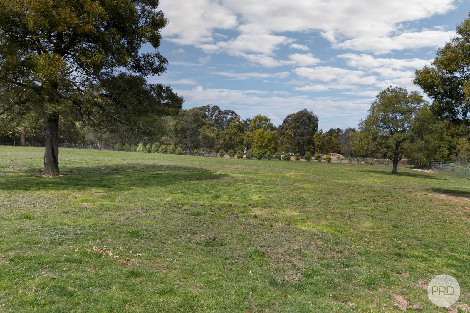 17 Blackwood Court ENFIELD 17