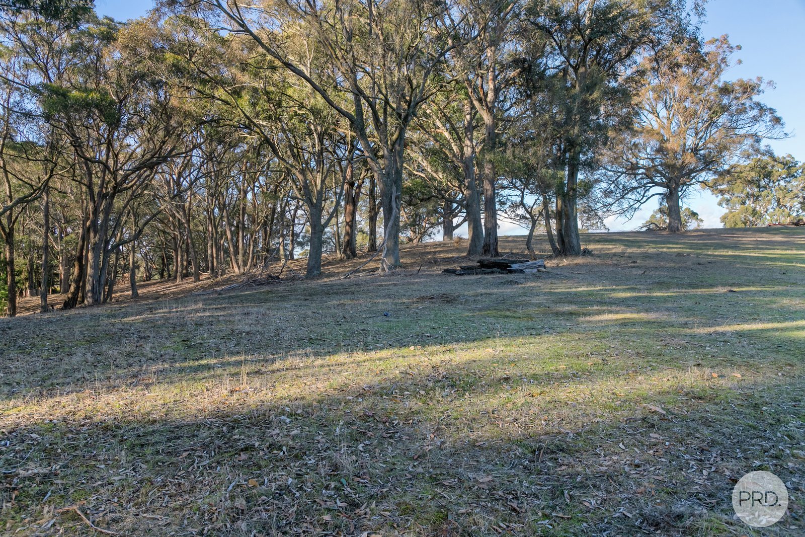 17 Brewing Lane SPRINGMOUNT 18