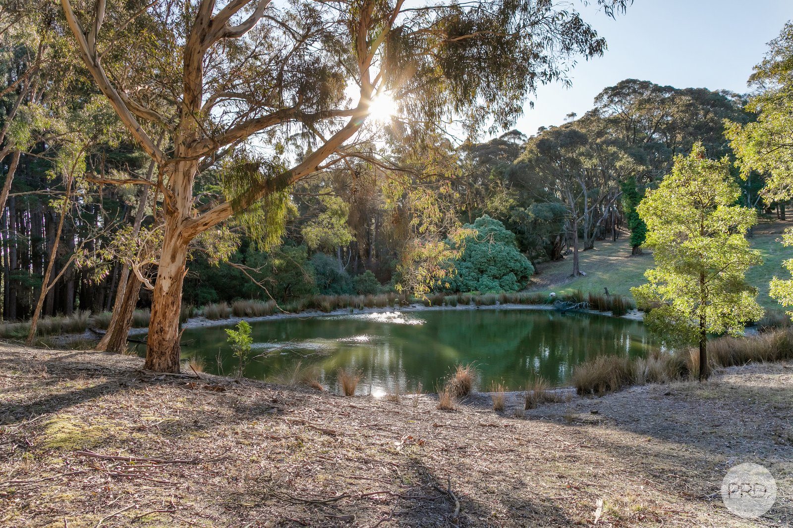 17 Brewing Lane SPRINGMOUNT 20