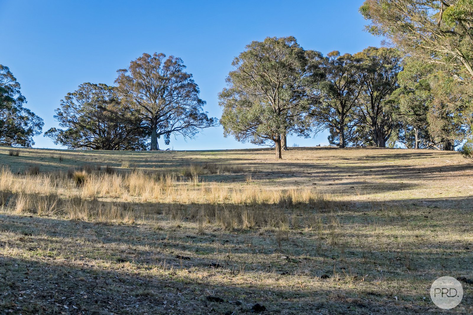 17 Brewing Lane SPRINGMOUNT 22