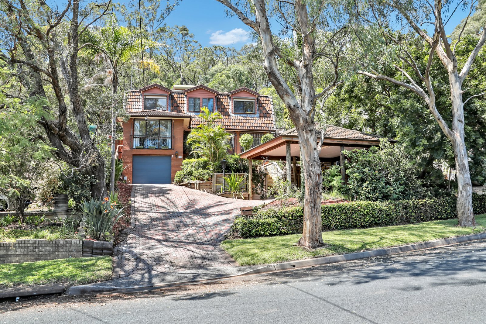 17 Bright Parade DAPTO 1