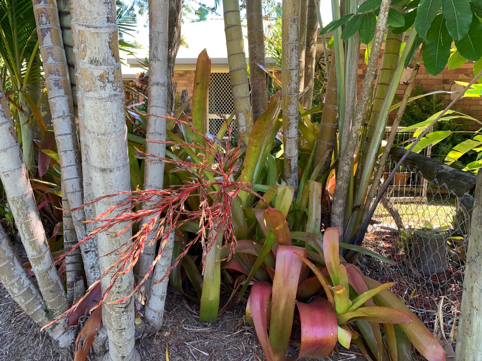 17 Bundesen Avenue MIDGE POINT 22