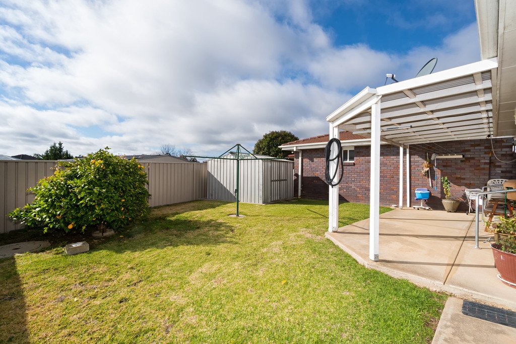 1/7 Clowes  ASHMONT 7