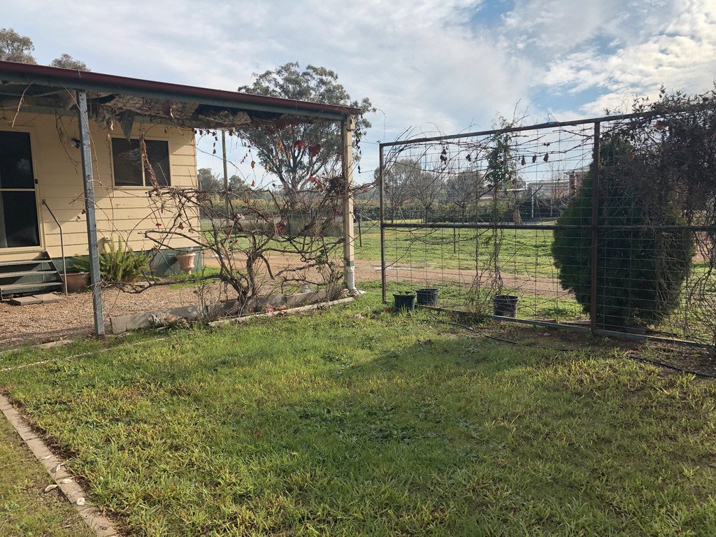 17 Emily Street THE ROCK 4