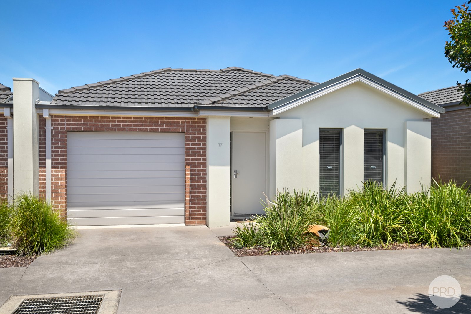 17 Fitzgerald Avenue ALFREDTON 1