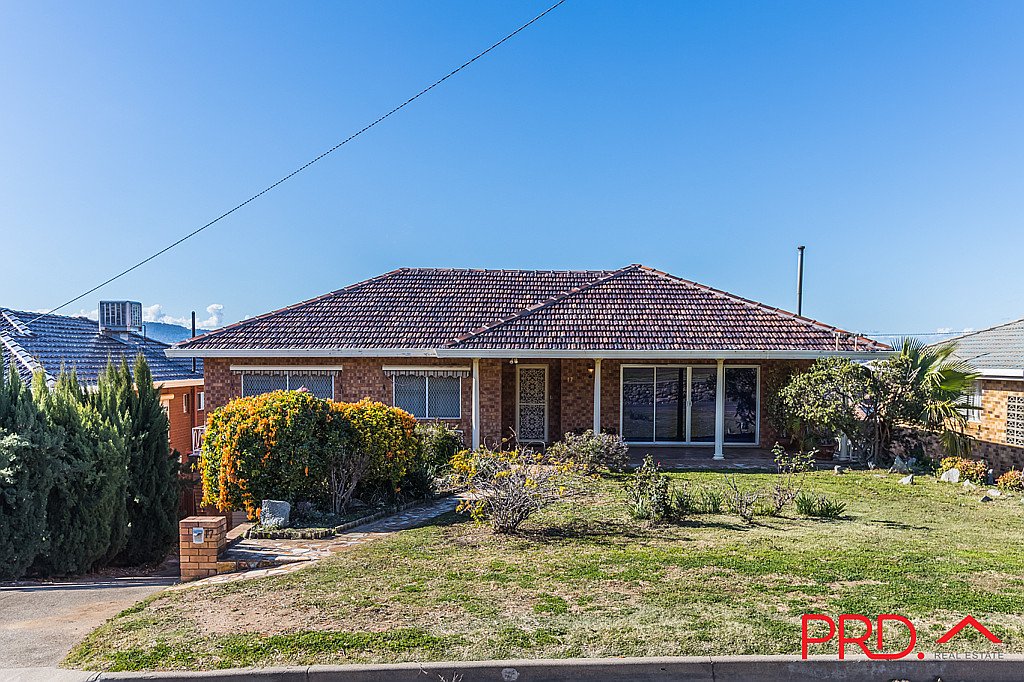 17 Grant Street TAMWORTH 1