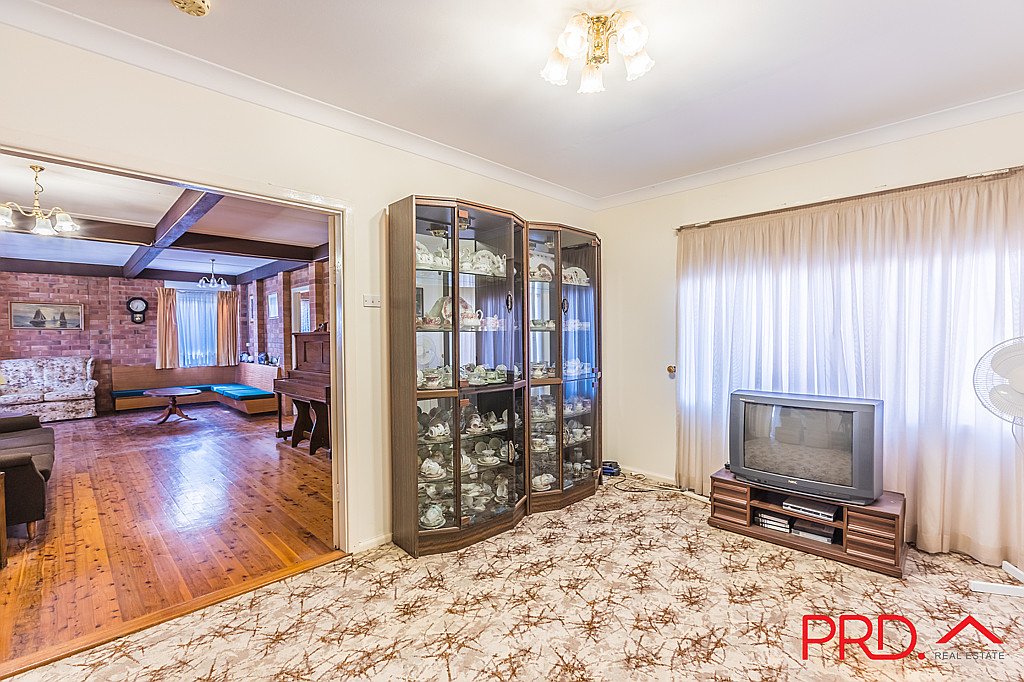 17 Grant Street TAMWORTH 10