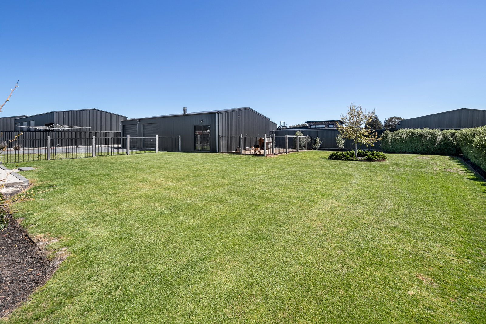 17 Havana Street CARDIGAN 20