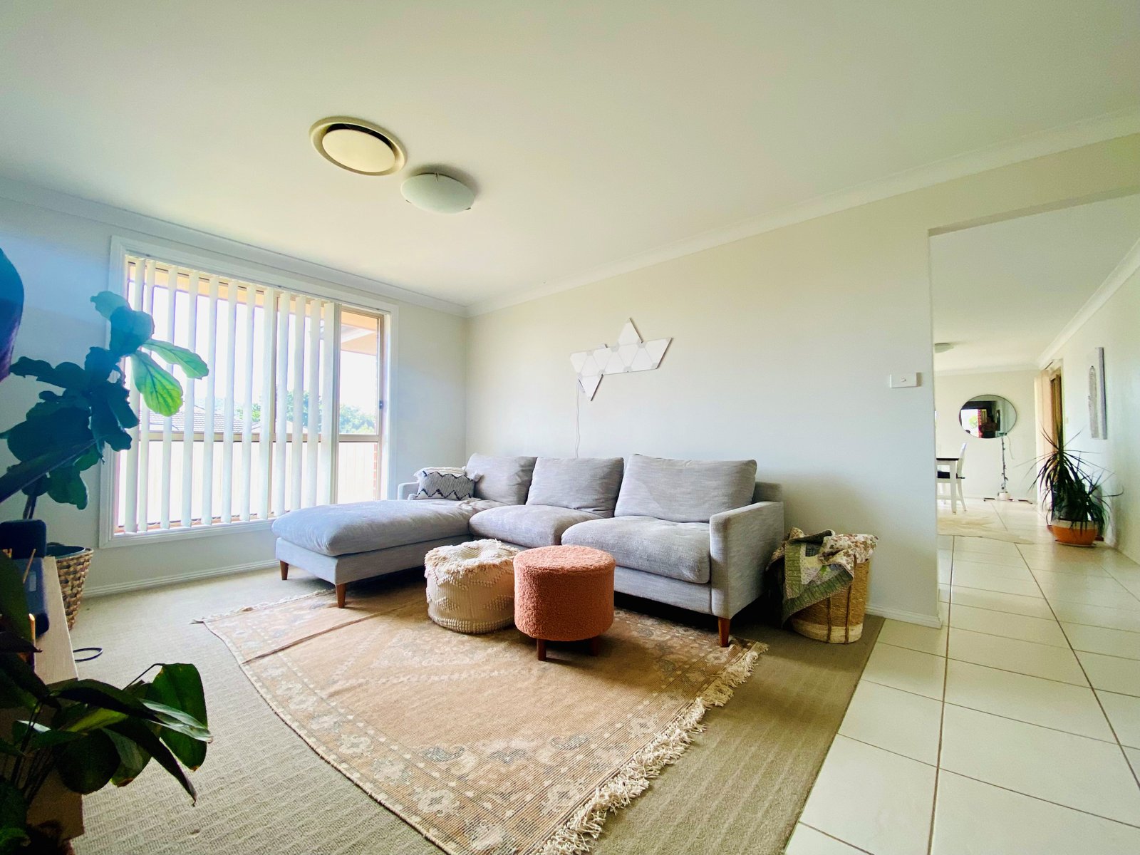 17 Hibiscus Way TAMWORTH 14