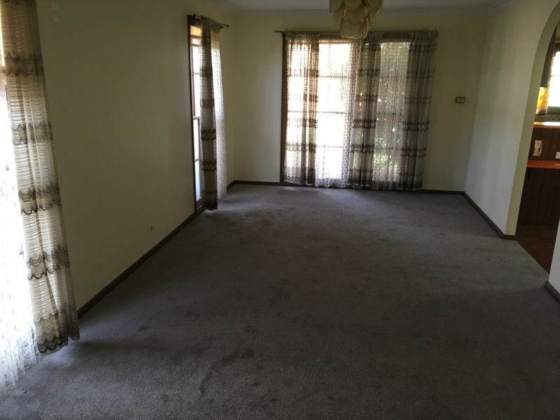 Gallery: 1/7 Jellicoe Street