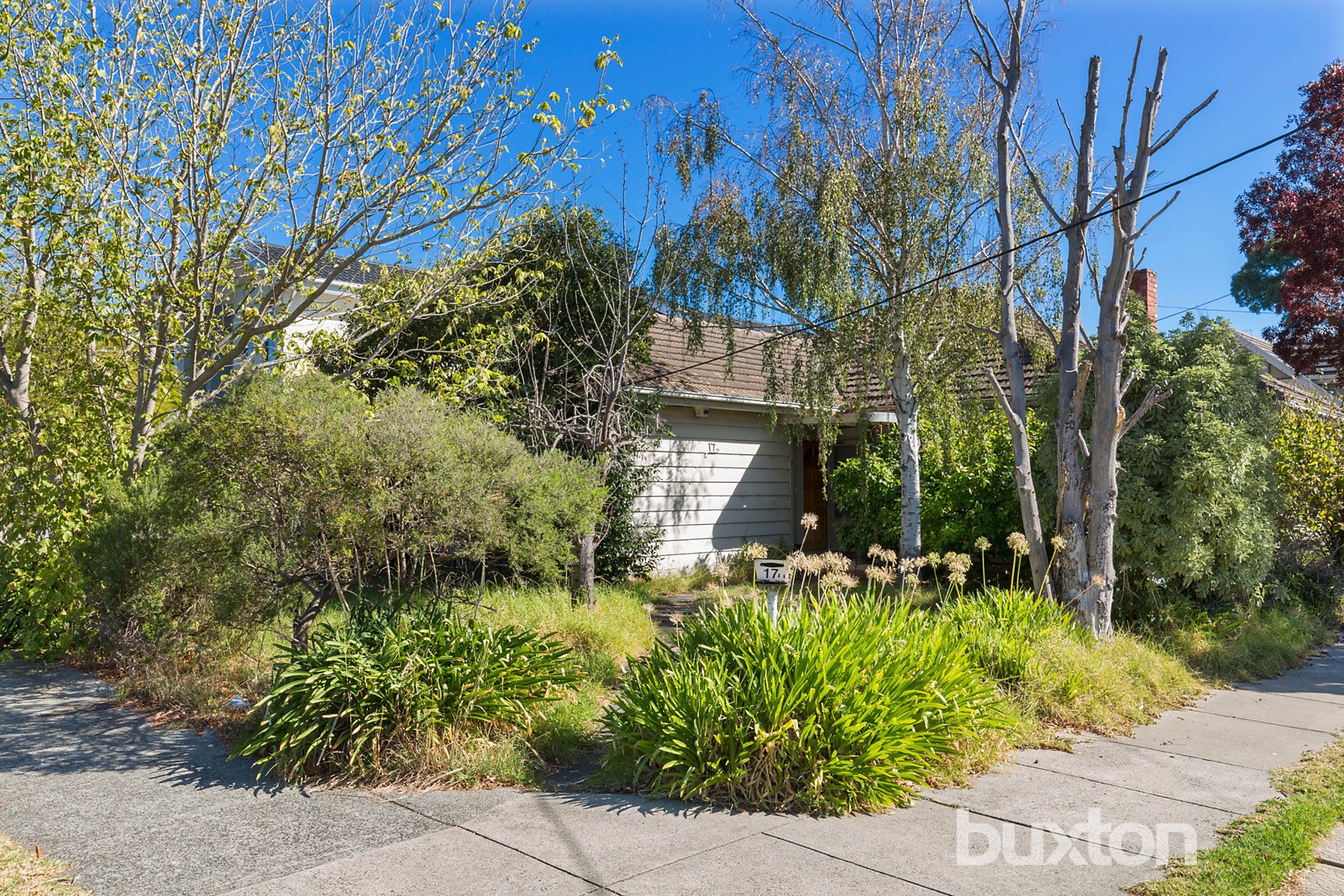 Gallery: 17 Lancaster Street