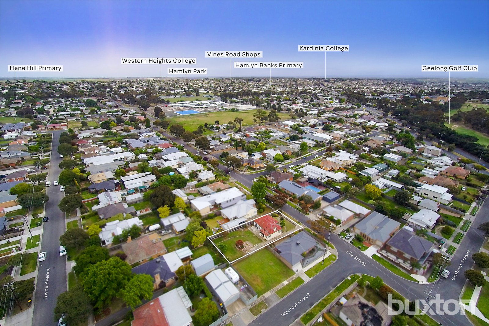 Gallery: 17 Lily Street