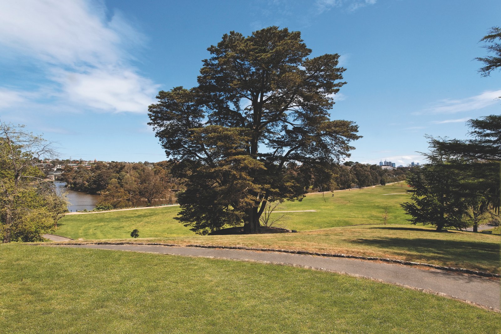 Real Estate and Property in 1/7 Lisson Grove, Hawthorn, VIC