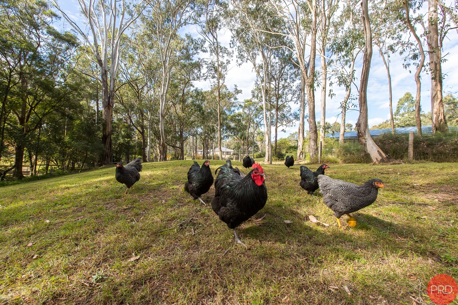 17 Lowe Street CLARENCE TOWN 2