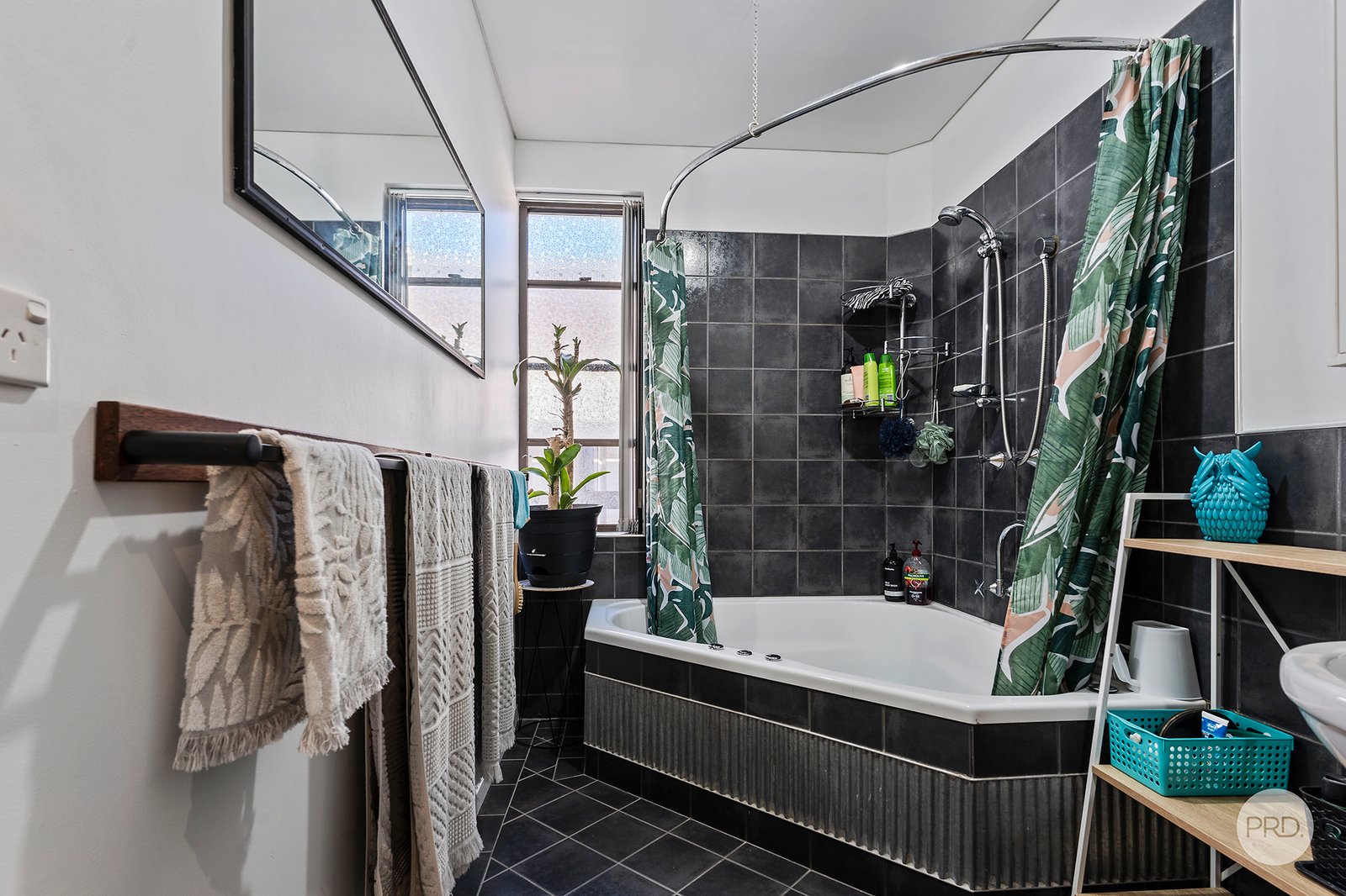 17 Lowe Street KANGAROO FLAT 10