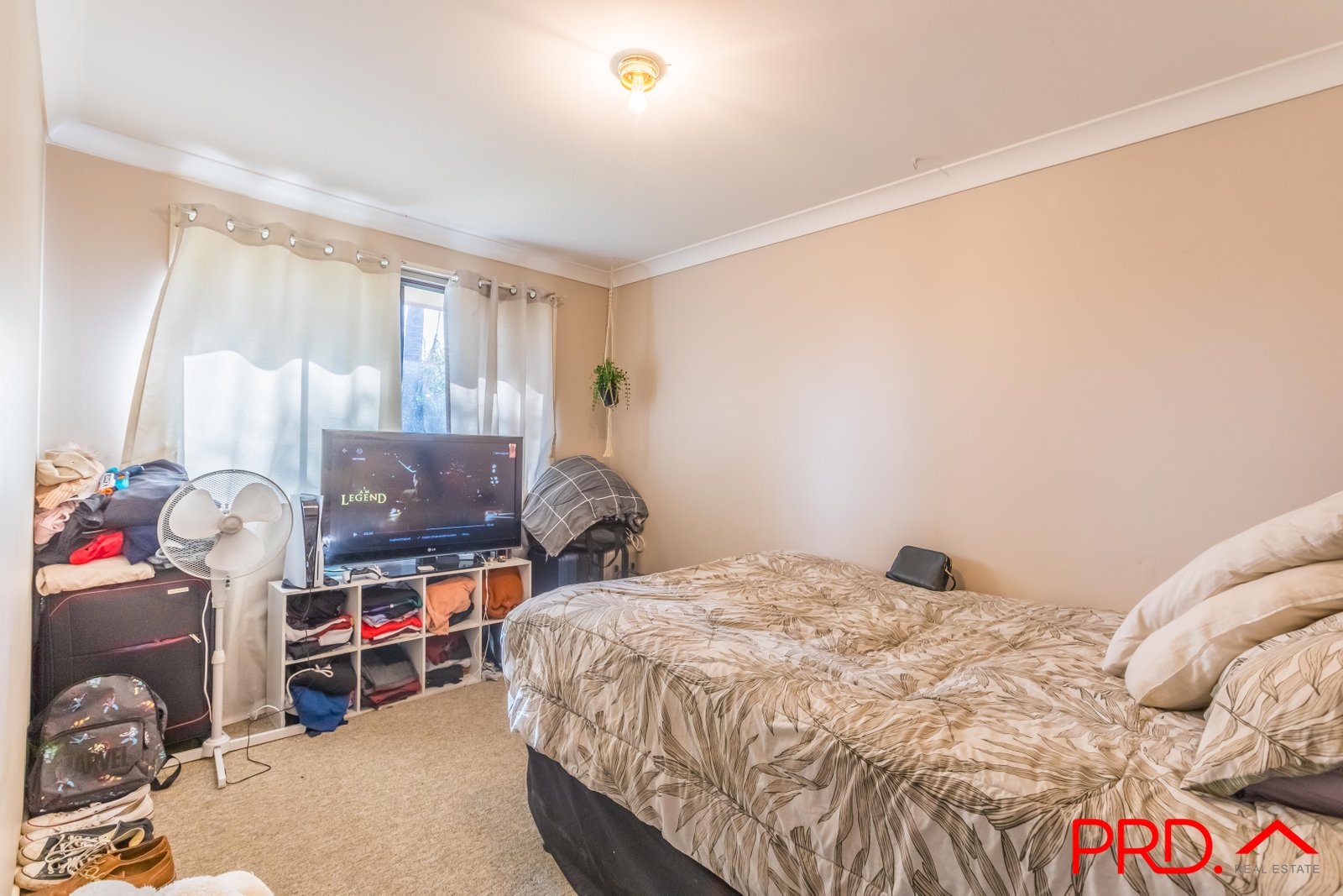 17 Maxwell Street TAMWORTH 13