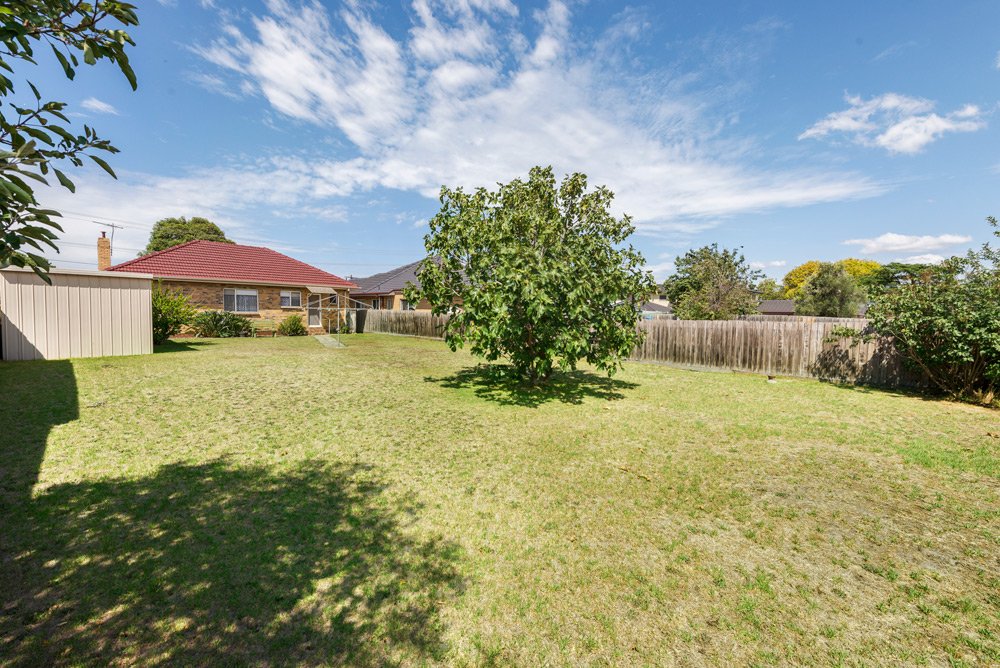 Gallery: 17 McMillan Street