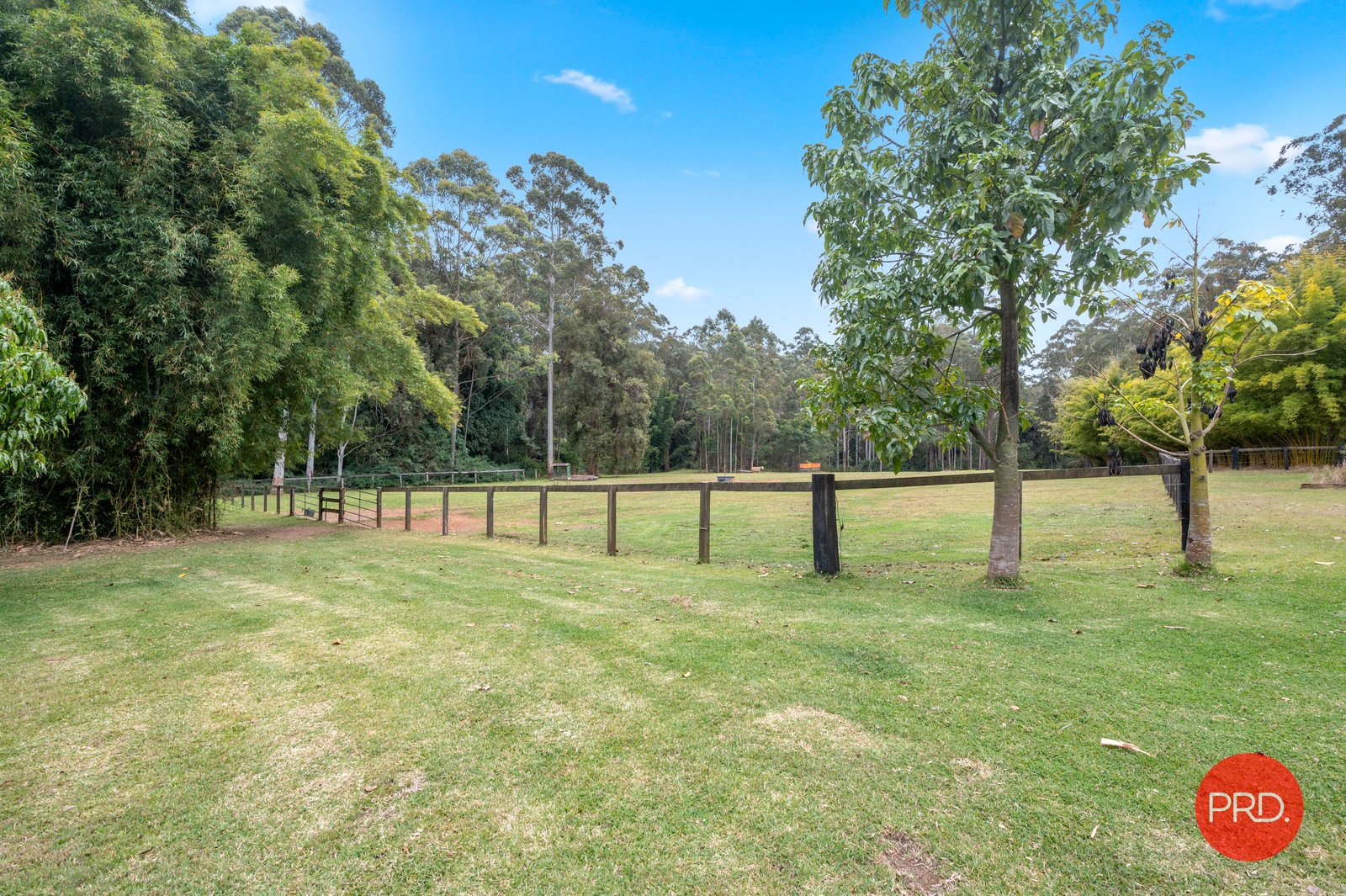 17 McPhillips Road HALFWAY CREEK 4
