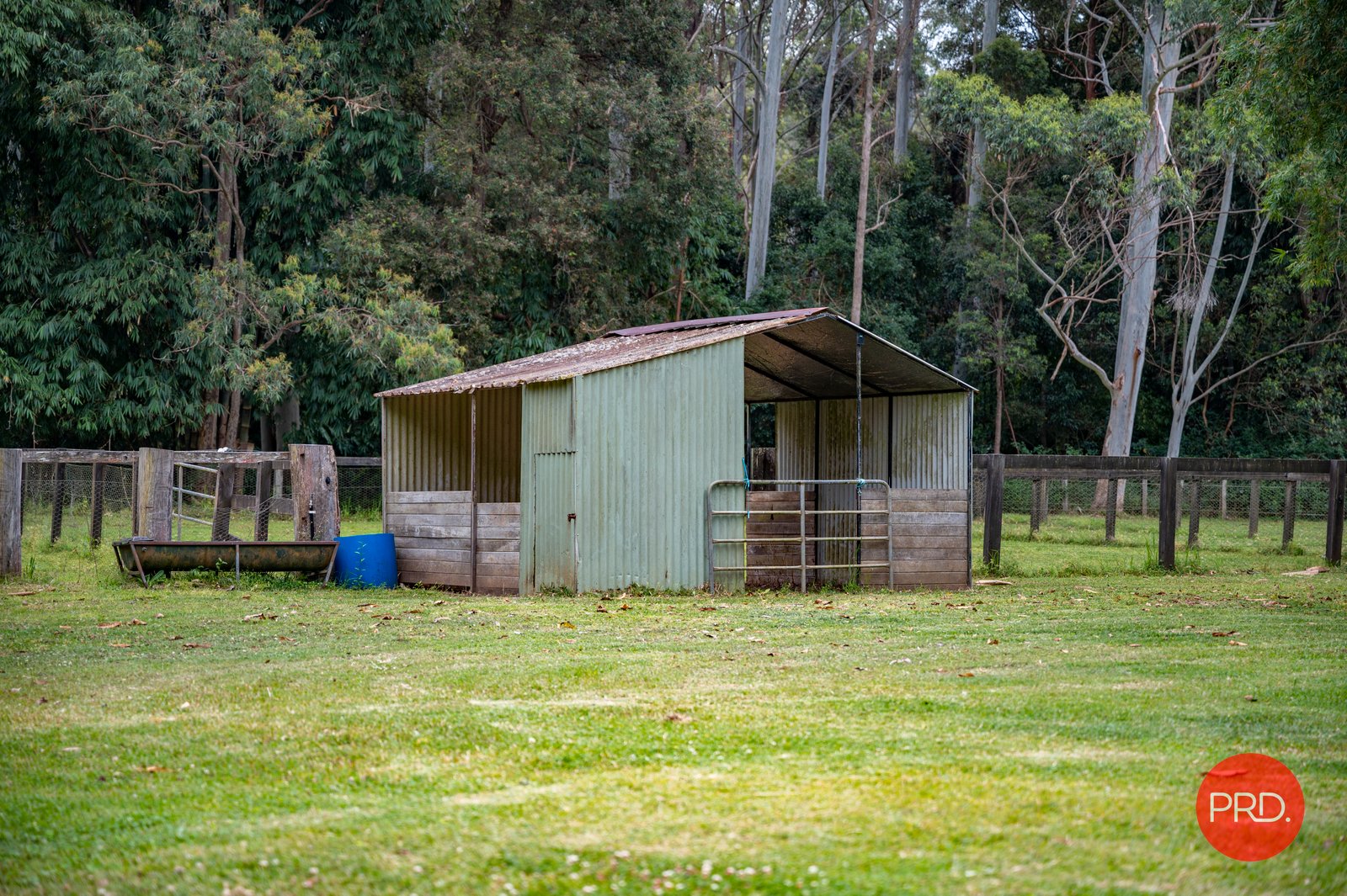 17 McPhillips Road HALFWAY CREEK 29