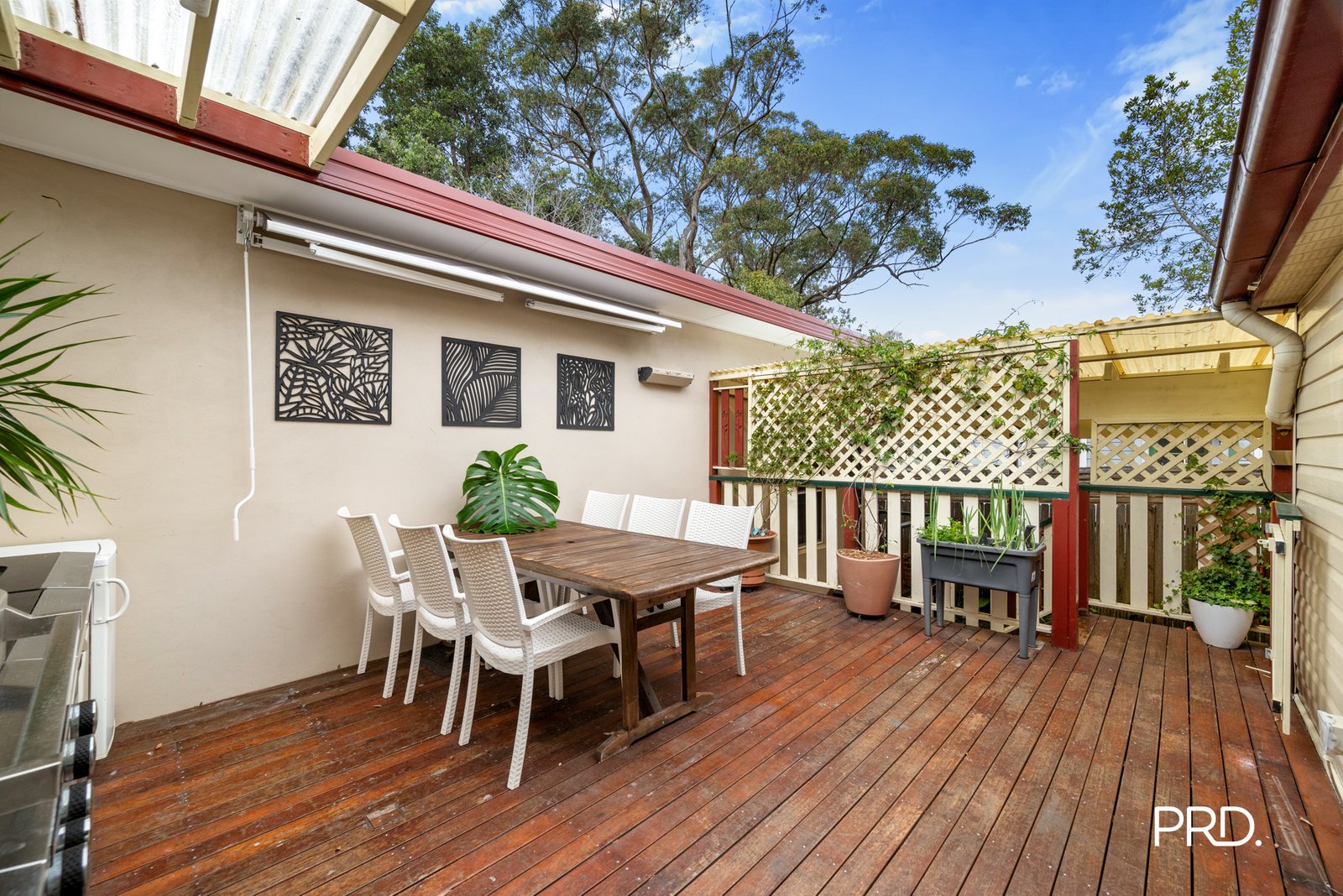 17 Moorecourt Avenue SPRINGWOOD 12