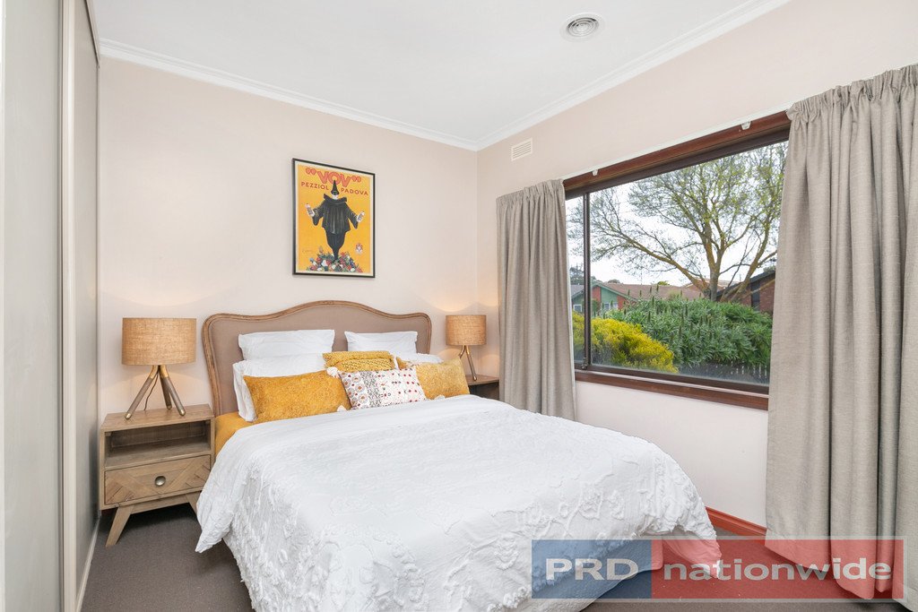 17 Munro Street ALFREDTON 9