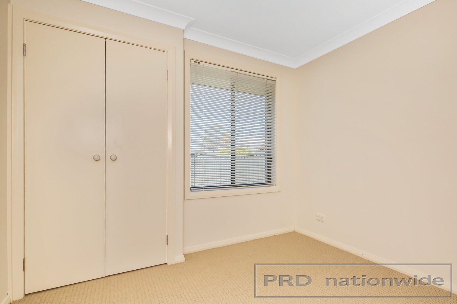 17 Nicolena Avenue RUTHERFORD 10