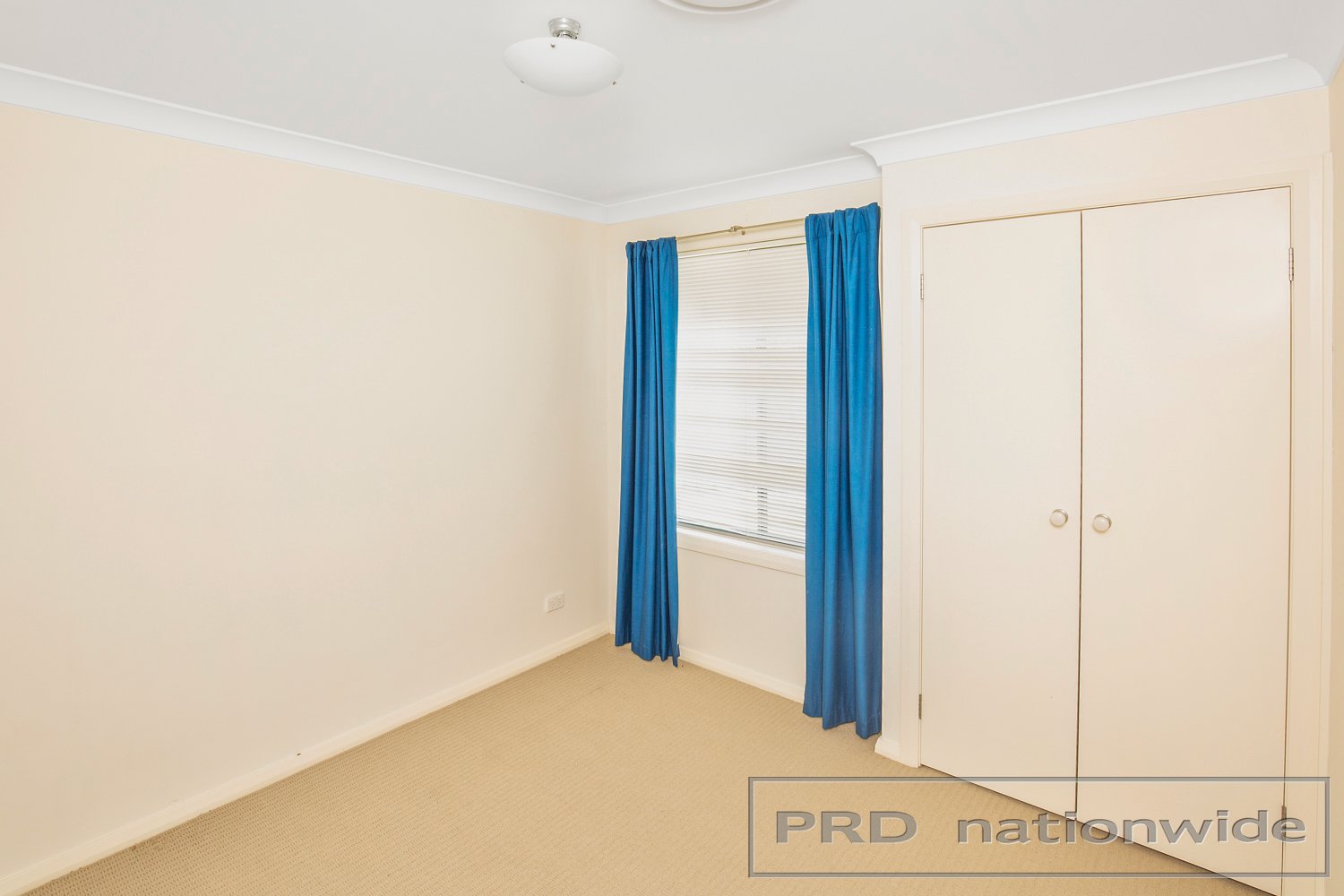 17 Nicolena Avenue RUTHERFORD 11