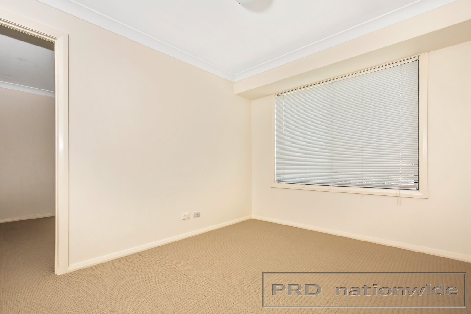 17 Nicolena Avenue RUTHERFORD 18
